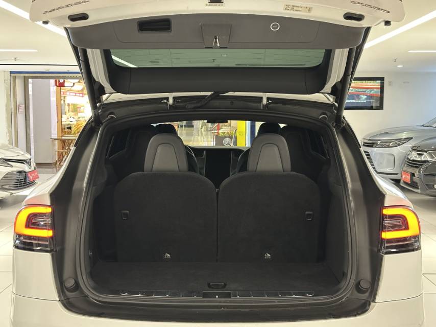 2019 Tesla Model X Electric Performance -CG1705786