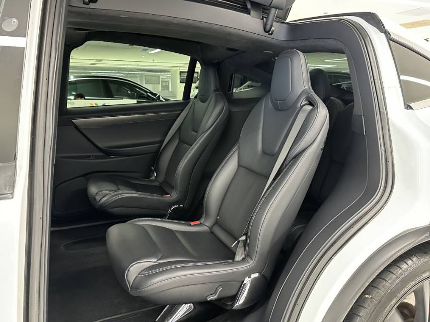 2019 Tesla Model X Electric Performance -CG1705786