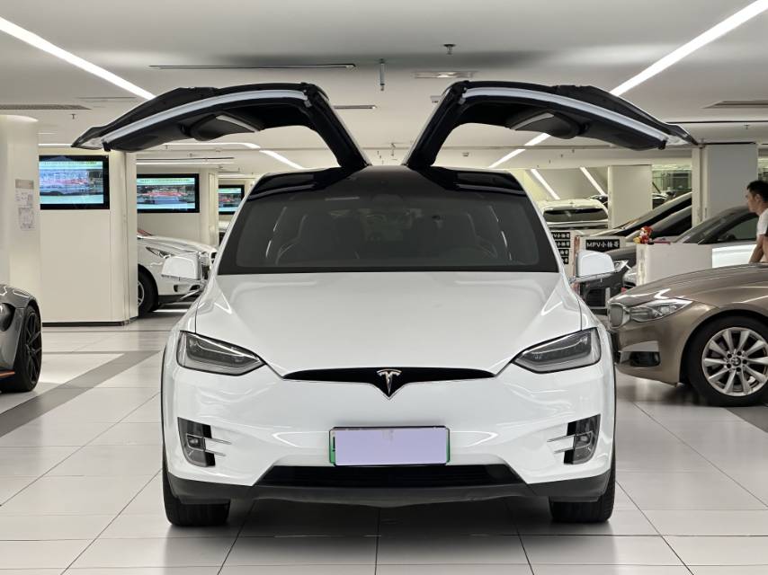2019 Tesla Model X Electric Performance -CG1705786