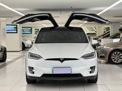 2019 Tesla Model X Electric Performance -CG1705786
