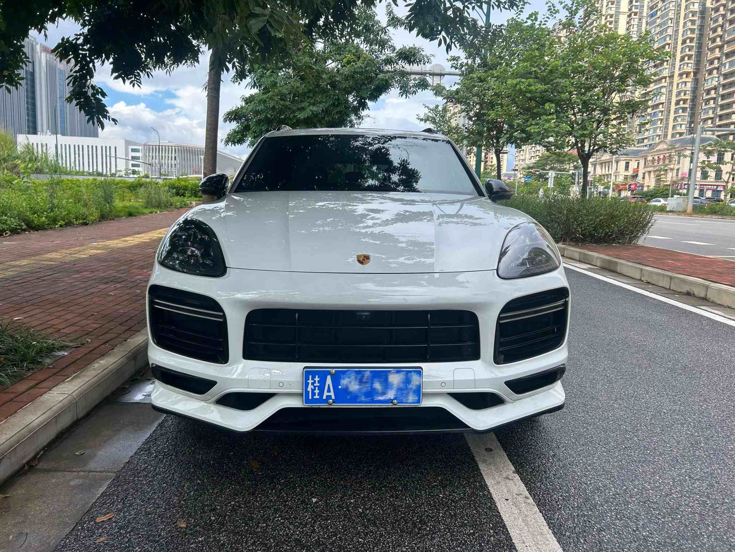 2022 Porsche Cayenne 3.0T Automatic Cayenne Platinum Edition -CG1706113