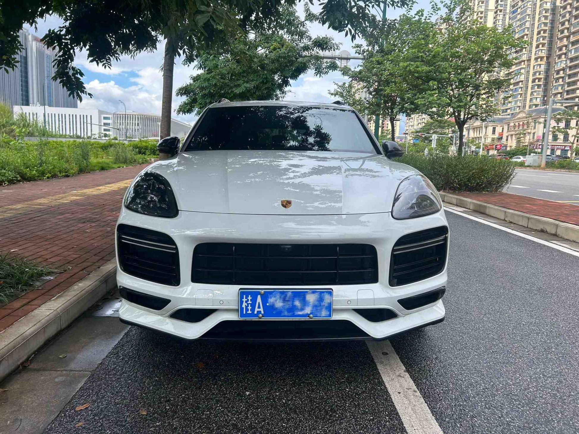2022 Porsche Cayenne 3.0T Automatic Cayenne Platinum Edition -CG1706113