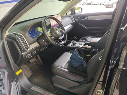 2019 BYD Tang New Energy 2.0T Dual Clutch AWD Intelligent Connected Creative Enjoy Edition 5-seat National VI -CG1706656