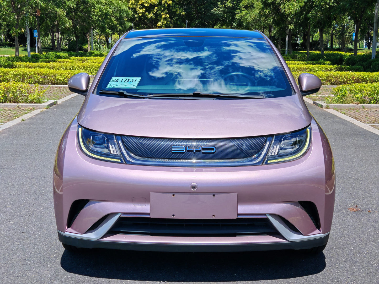2021 BYD Dolphin Electric 405km Fashion Edition -CG1706810