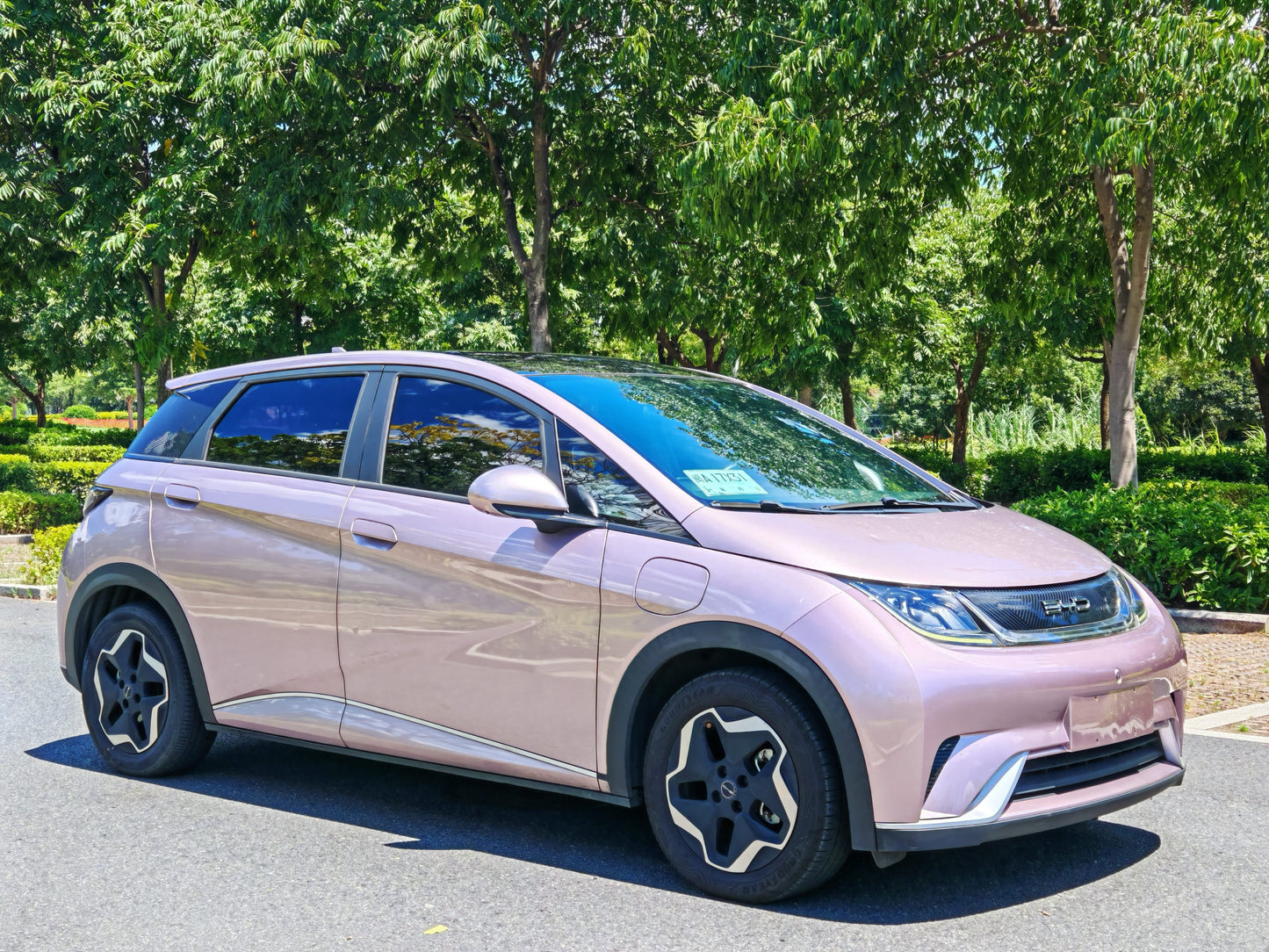 2021 BYD Dolphin Electric 405km Fashion Edition -CG1706810