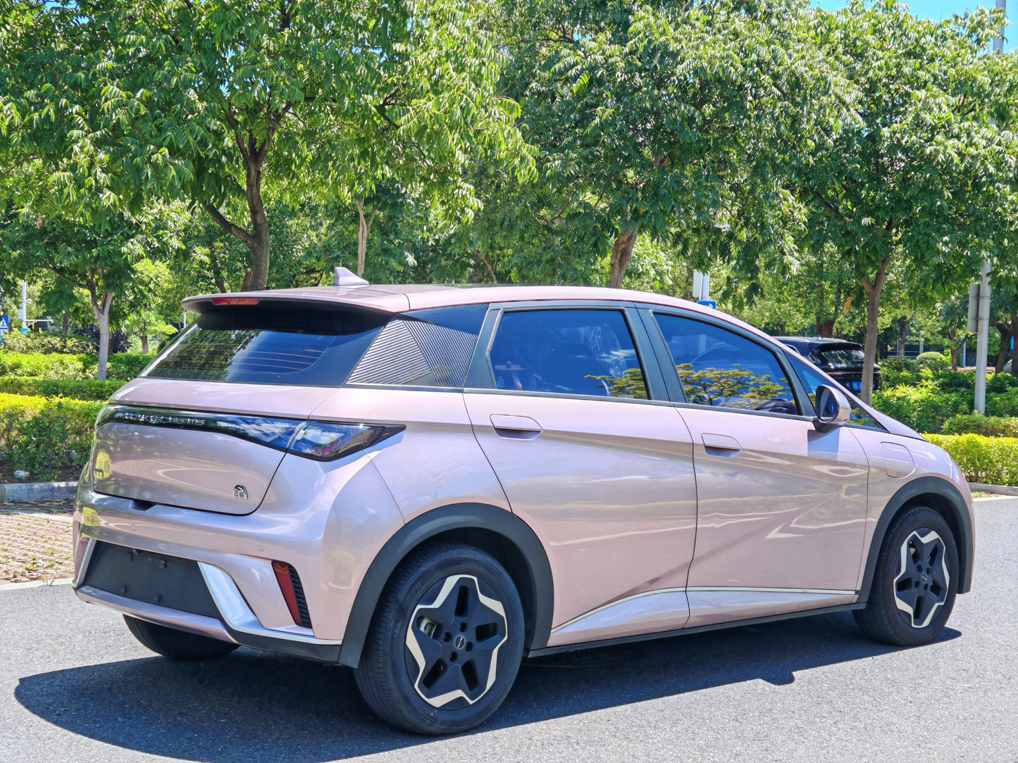 2021 BYD Dolphin Electric 405km Fashion Edition -CG1706810