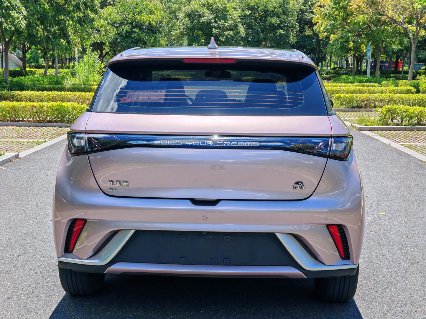 2021 BYD Dolphin Electric 405km Fashion Edition -CG1706810