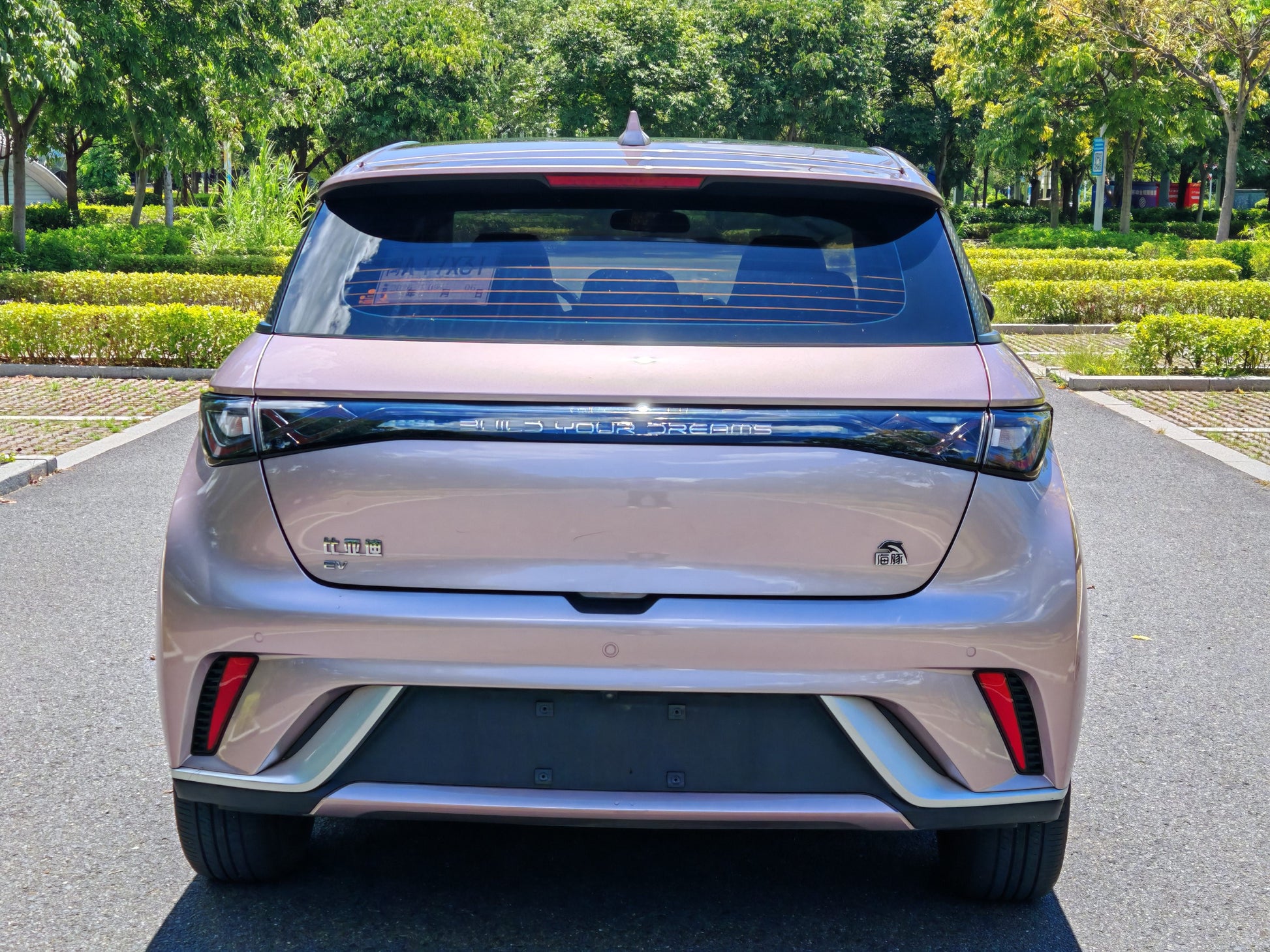 2021 BYD Dolphin Electric 405km Fashion Edition -CG1706810