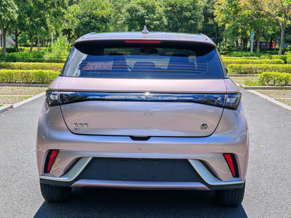 2021 BYD Dolphin Electric 405km Fashion Edition -CG1706810