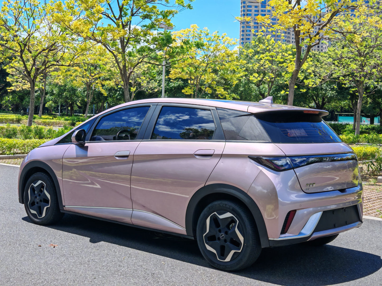 2021 BYD Dolphin Electric 405km Fashion Edition -CG1706810