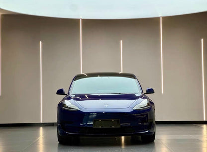 2021 Tesla Model 3 Electric Standard Range Rear-Wheel Drive Enhanced Version 3D6 -CG1706826