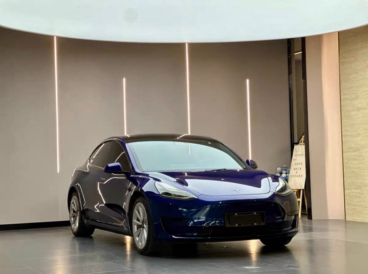 2021 Tesla Model 3 Electric Standard Range Rear-Wheel Drive Enhanced Version 3D6 -CG1706826