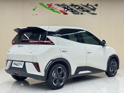 2025 Seagull Intelligent Driving 405km Free Edition -CG1706968