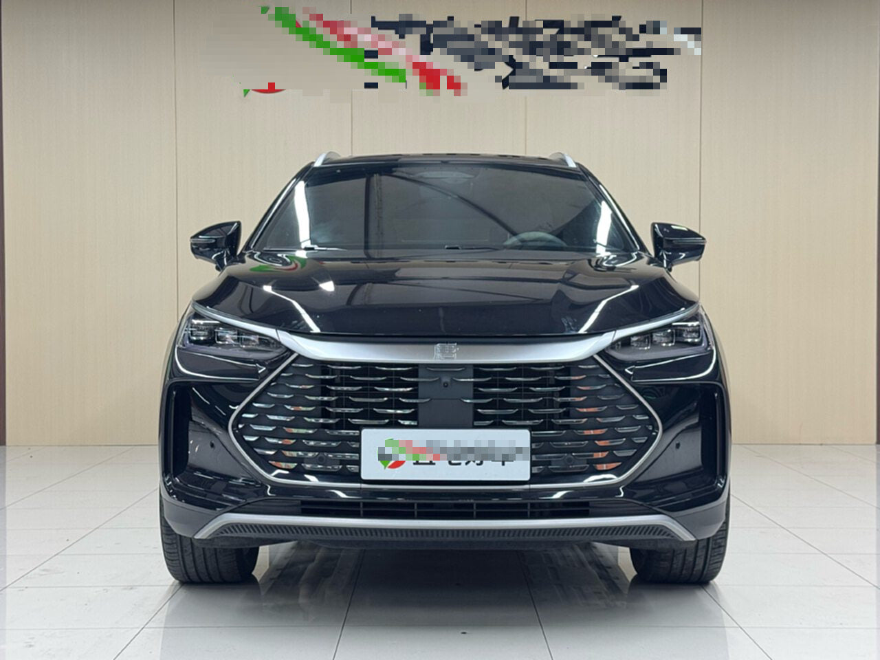 2025 Tang New Energy DM-i 115KM Intelligent Driving Premium -CG1706965