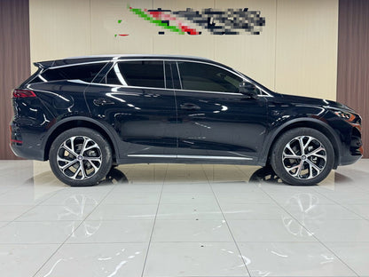 2025 Tang New Energy DM-i 115KM Intelligent Driving Premium -CG1706965