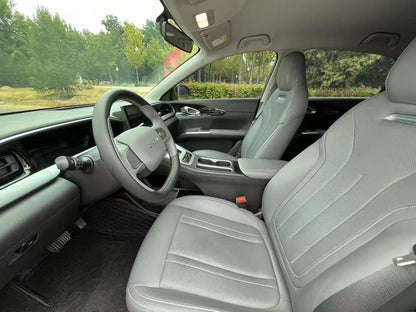2025 Geely Xingyuan 310km Youth Edition -CG1707007