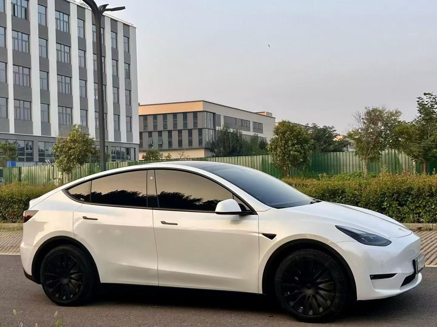2021 Tesla Model Y Electric Standard Range Rear-Wheel Drive -CG1707021