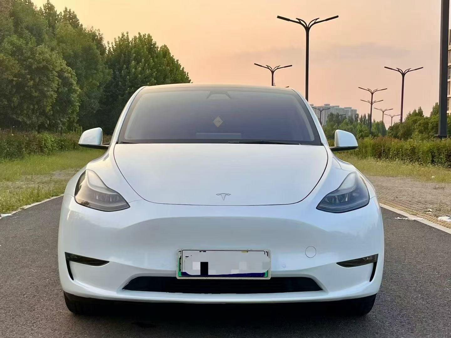 2021 Tesla Model Y Electric Standard Range Rear-Wheel Drive -CG1707021
