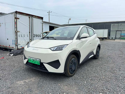 2025 Seagull 305km Vitality Edition -CG1707158