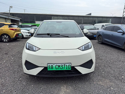 2025 Seagull 305km Vitality Edition -CG1707158