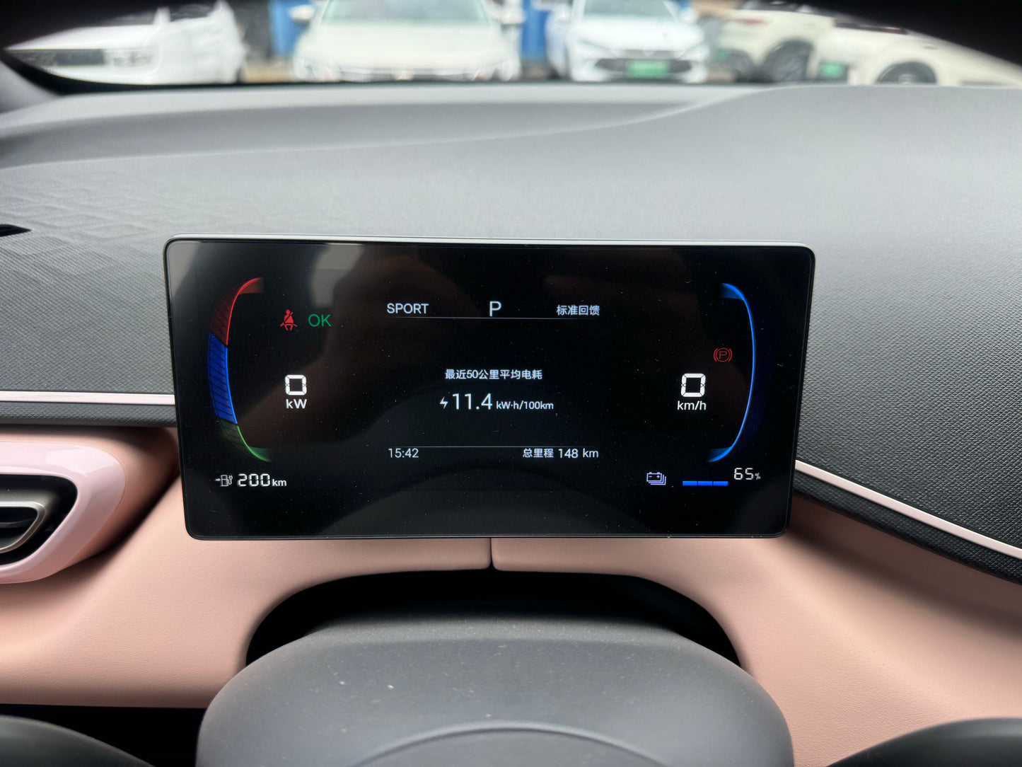 2025 Seagull 305km Vitality Edition -CG1707158