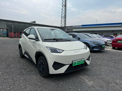 2025 Seagull 305km Vitality Edition -CG1707158
