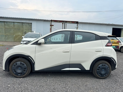 2025 Seagull 305km Vitality Edition -CG1707158