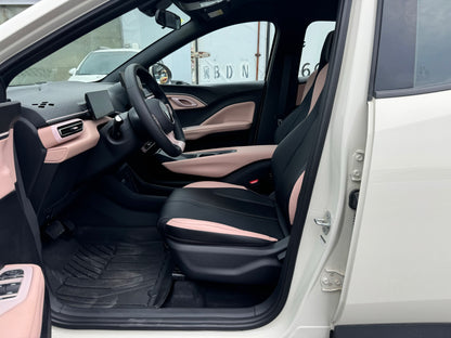 2025 Seagull 305km Vitality Edition -CG1707158
