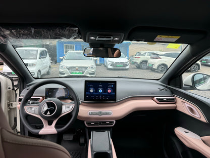 2025 Seagull 305km Vitality Edition -CG1707158