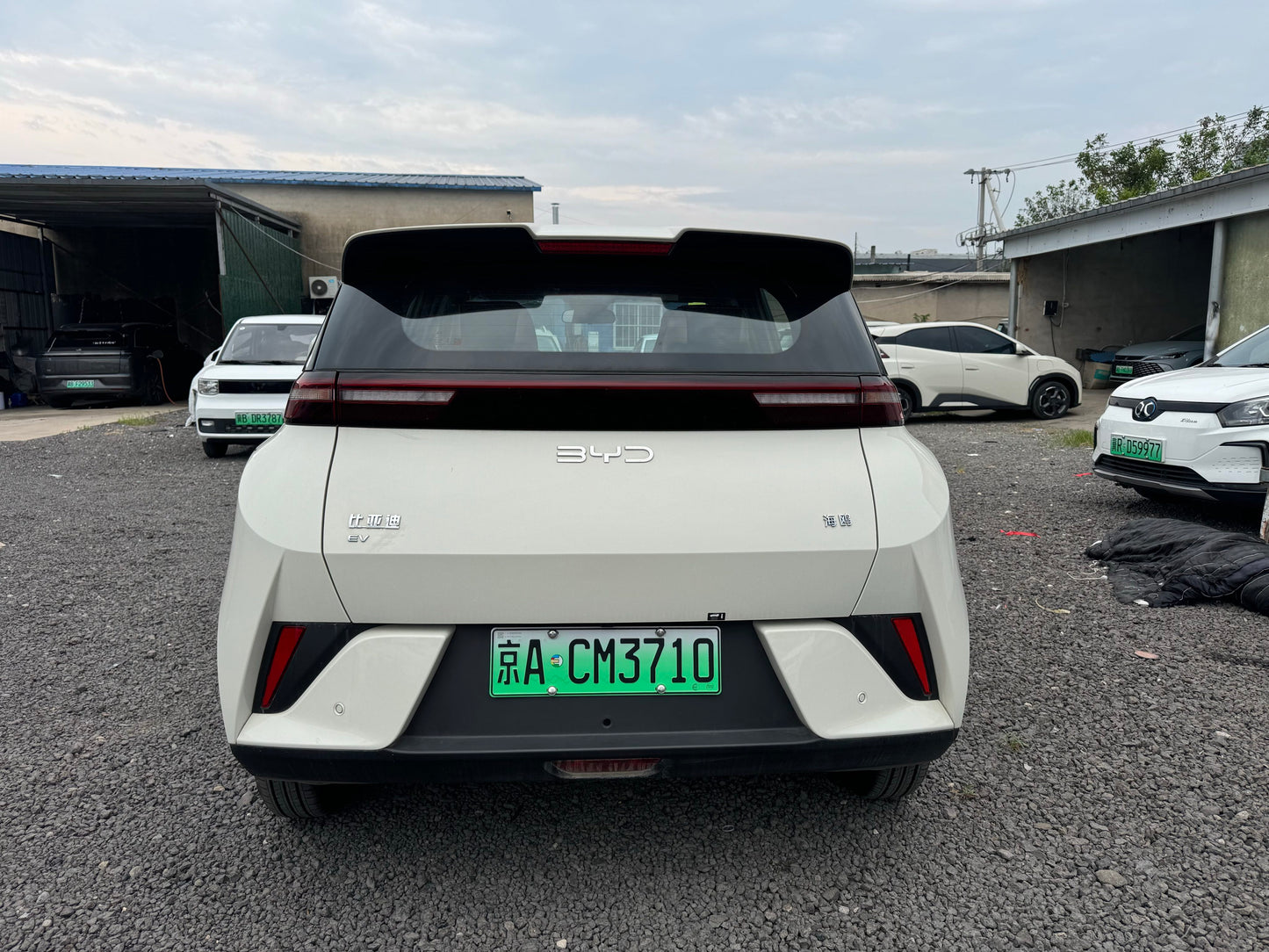 2025 Seagull 305km Vitality Edition -CG1707158