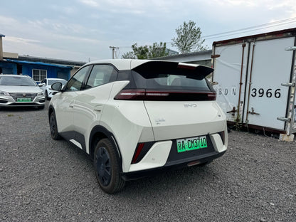 2025 Seagull 305km Vitality Edition -CG1707158