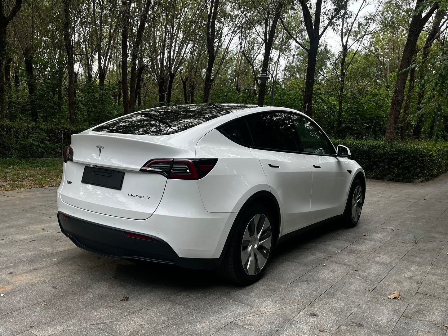 2021 Tesla Model Y Electric Standard Range Rear-Wheel Drive -CG1707175