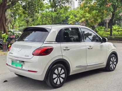 2023 Wuling Bingo Electric 333km Yuexiang -CG1707179
