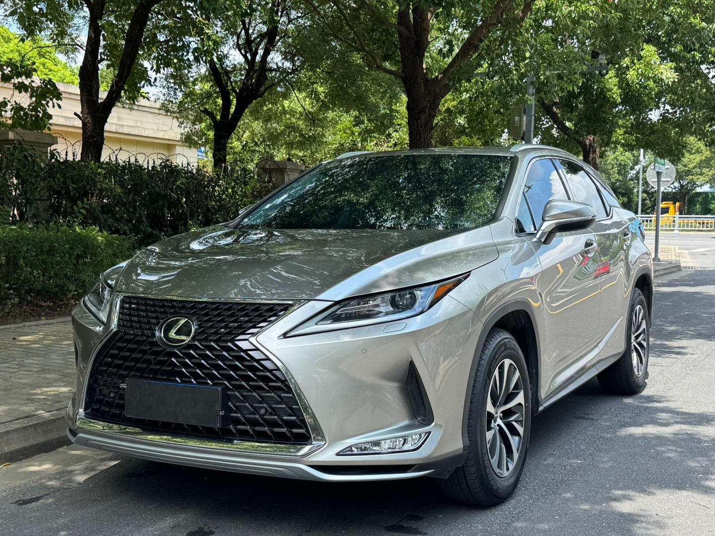 2020 Lexus RX 2.0T Automatic Modified 300 Elite Edition -CG1707591