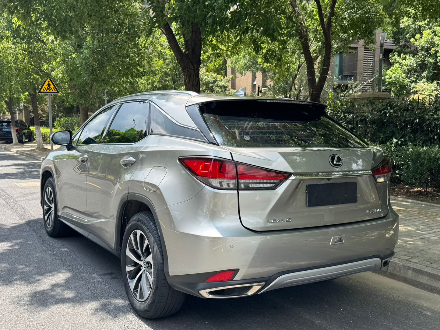 2020 Lexus RX 2.0T Automatic Modified 300 Elite Edition -CG1707591