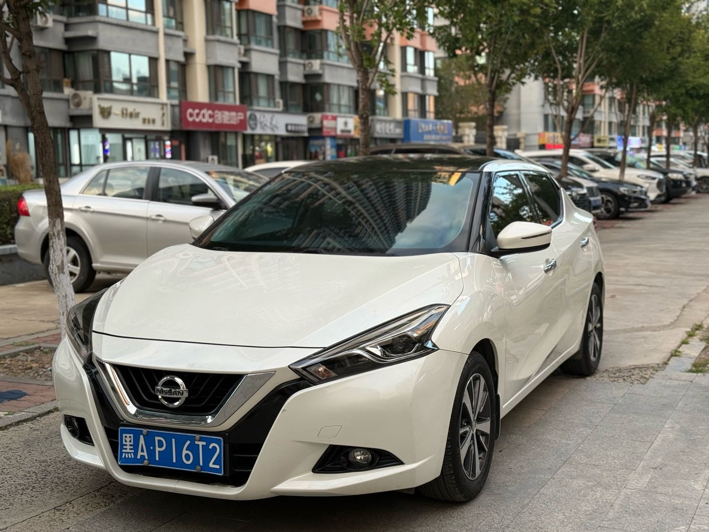 2016 Nissan Bluebird 1.6L CVT Cool Version -CG1707766