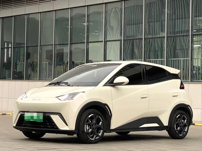 2024 Seagull Honor Edition 305km Freedom Edition -CG1708757