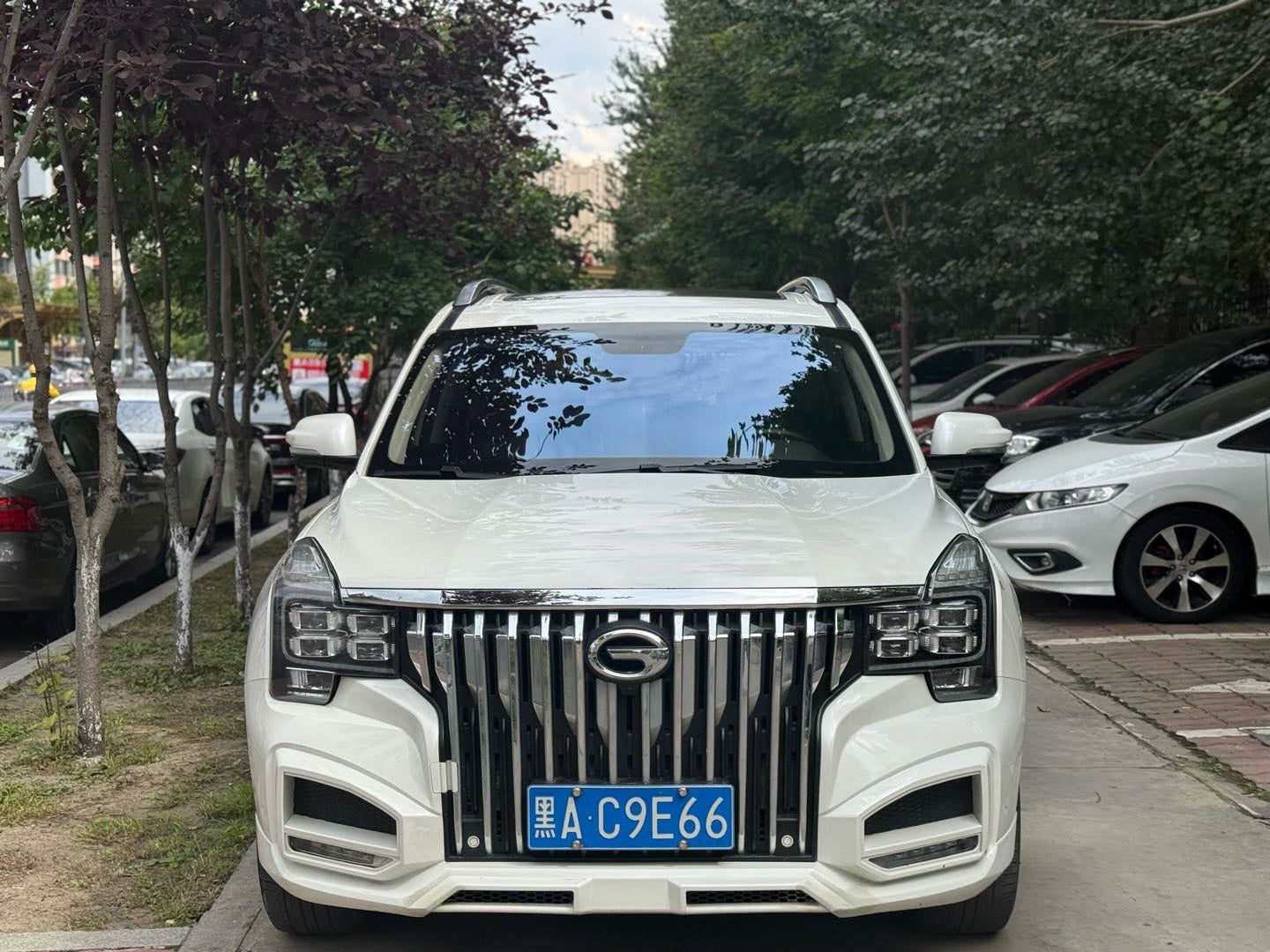 2017 Trumpchi GS8 2.0T 320T Automatic AWD Luxury Intelligent Connected Version -CG1709005