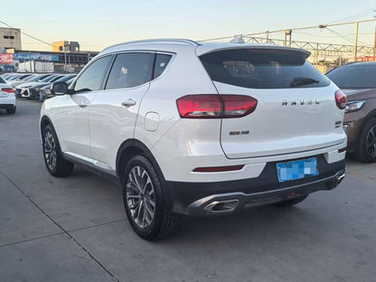 2020 Haval H6 2.0T Dual-Clutch Platinum Luxury -CG1708840