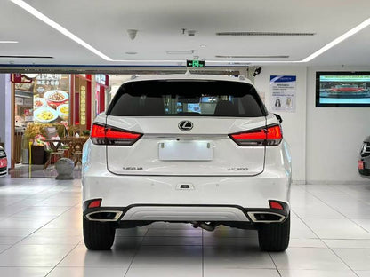 2020 Lexus RX 2.0T Automatic Facelifted 300 Elegance Edition -CG1708934