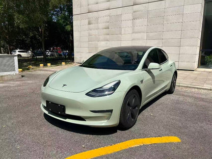 2019 Tesla Model 3 (Import) Electric Long Range Rear-Wheel Drive -CG1709237