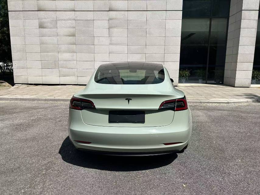 2019 Tesla Model 3 (Import) Electric Long Range Rear-Wheel Drive -CG1709237