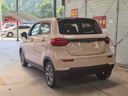 2021 Leapmotor T03 Electric 400 Luxury -CG1709280