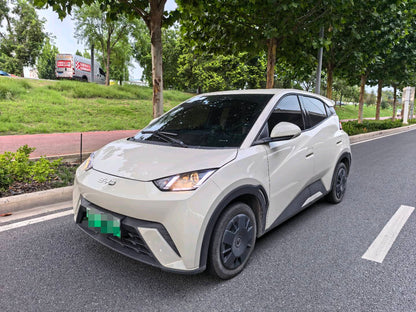 2025 Seagull 305km Vitality Edition -CG1709164