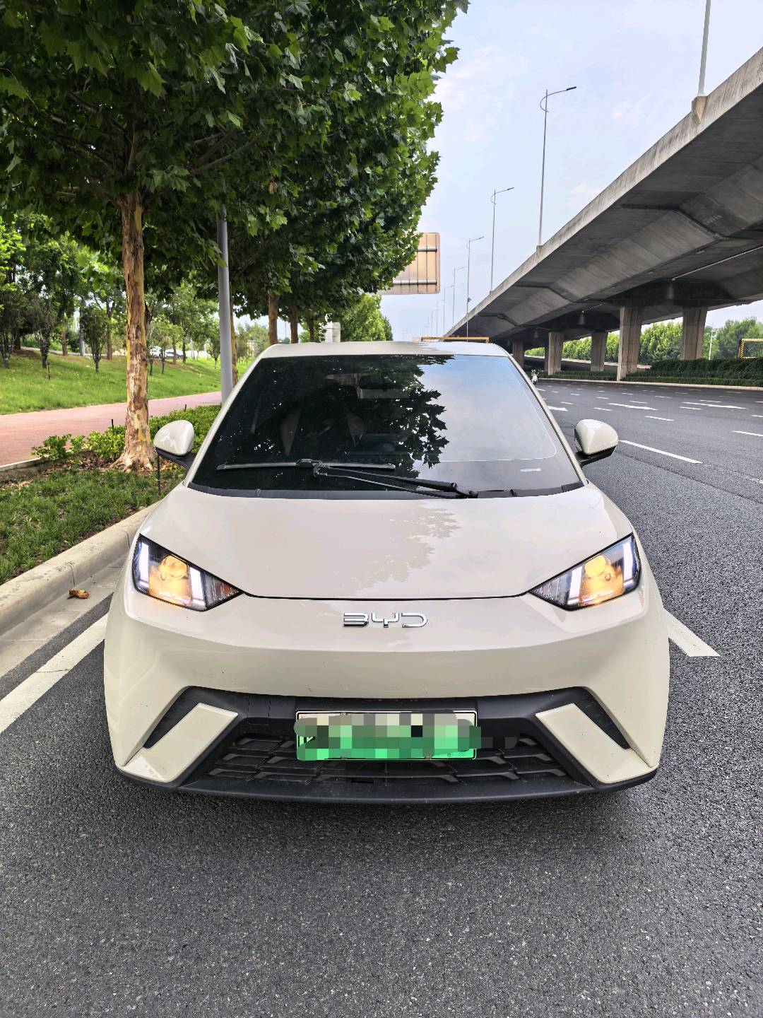2025 Seagull 305km Vitality Edition -CG1709164