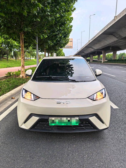 2025 Seagull 305km Vitality Edition -CG1709164