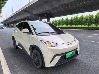 2025 Seagull 305km Vitality Edition -CG1709164