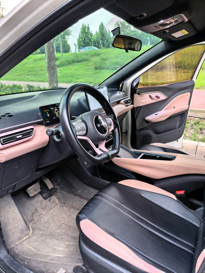 2025 Seagull 305km Vitality Edition -CG1709164
