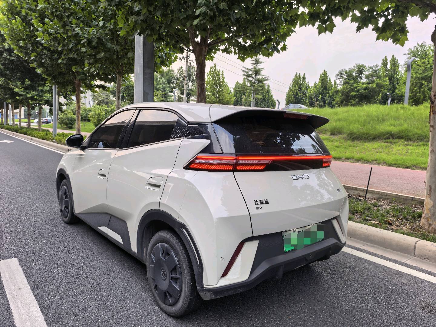 2025 Seagull 305km Vitality Edition -CG1709164