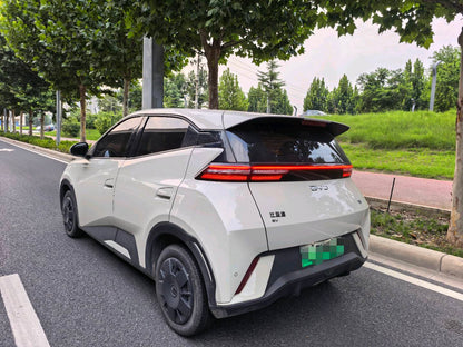 2025 Seagull 305km Vitality Edition -CG1709164